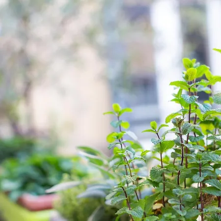 شقة Porta Pia Zeno 53