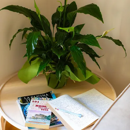 Porta Pia Zeno 53 روما