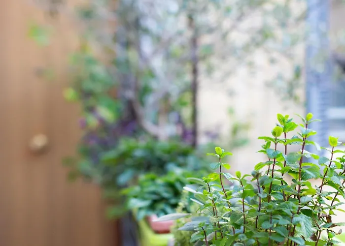 Porta Pia Zeno 53 * Рим